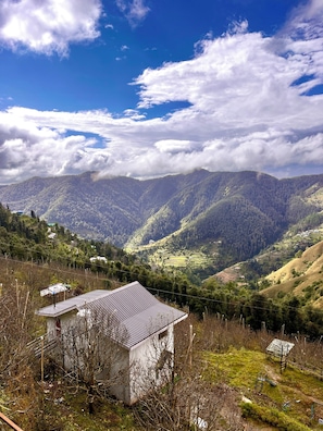 Miscellaneous - ORCHARD VALLEY RESORT (Shimla)