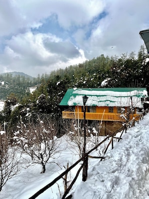 Property grounds - ORCHARD VALLEY RESORT (Shimla)