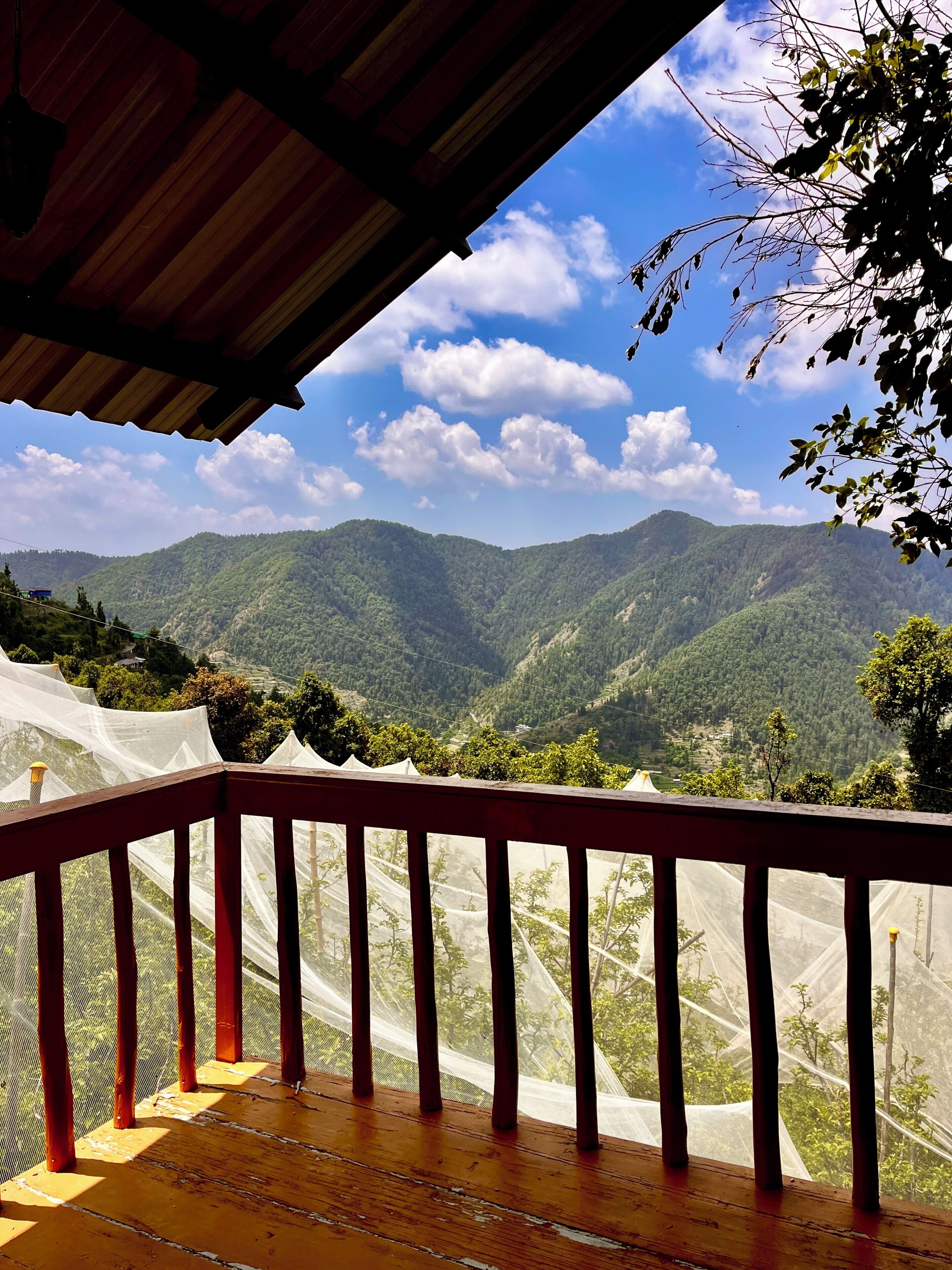 Balcony view
