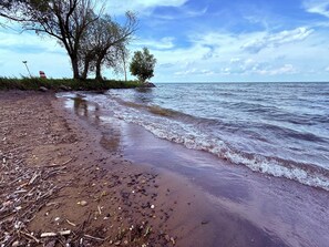 Una playa con arena, árboles y un mar tranquilo.
