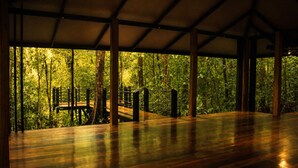 A covered wooden deck with a view of dense forest.