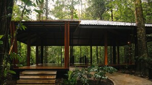A covered wooden structure with steps leading up to it, surrounded by dense forest.