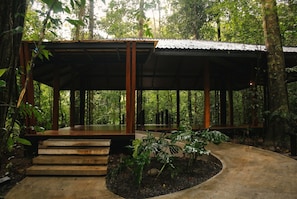 A covered wooden structure with steps leading up to it, surrounded by dense forest. - Nuakú Jungle (San Carlos)