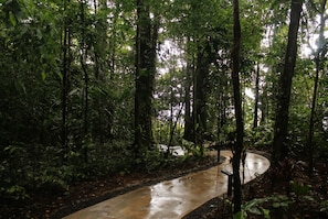 Área da propriedade