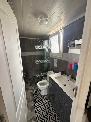 Une salle de bain comprenant des toilettes, un lavabo, une douche et des murs carrelés.