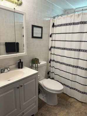 Bathroom - 4-Bedroom Cozy & Spacious Lake Cottage in Pardeeville, WI - Sleeps 8 (Pardeeville)