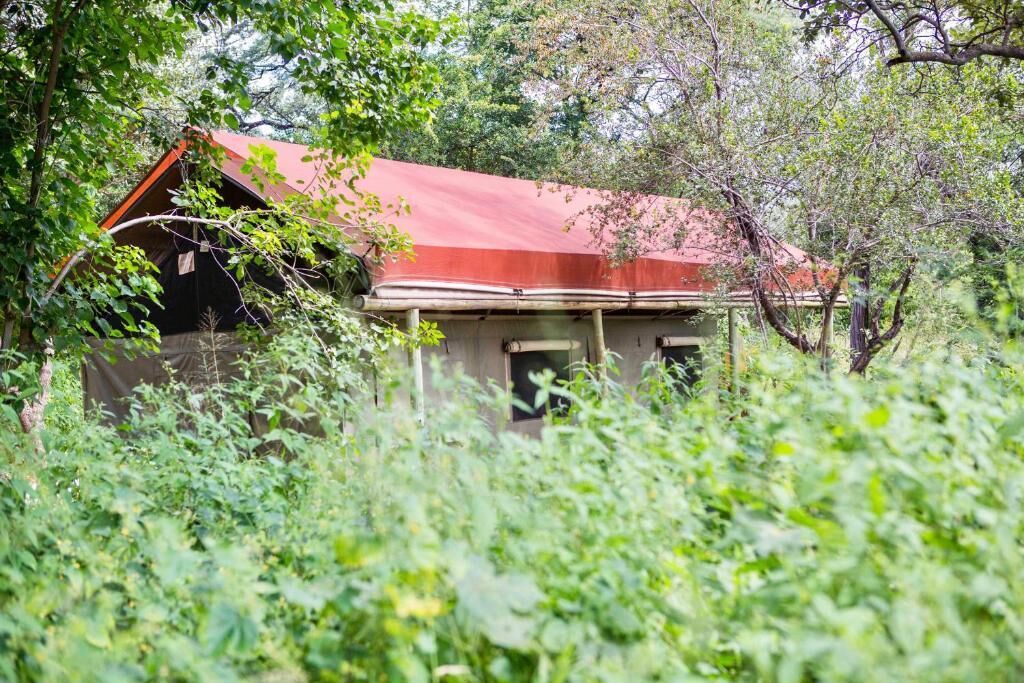A rustic cabin with a red roof, surrounded by dense greenery.