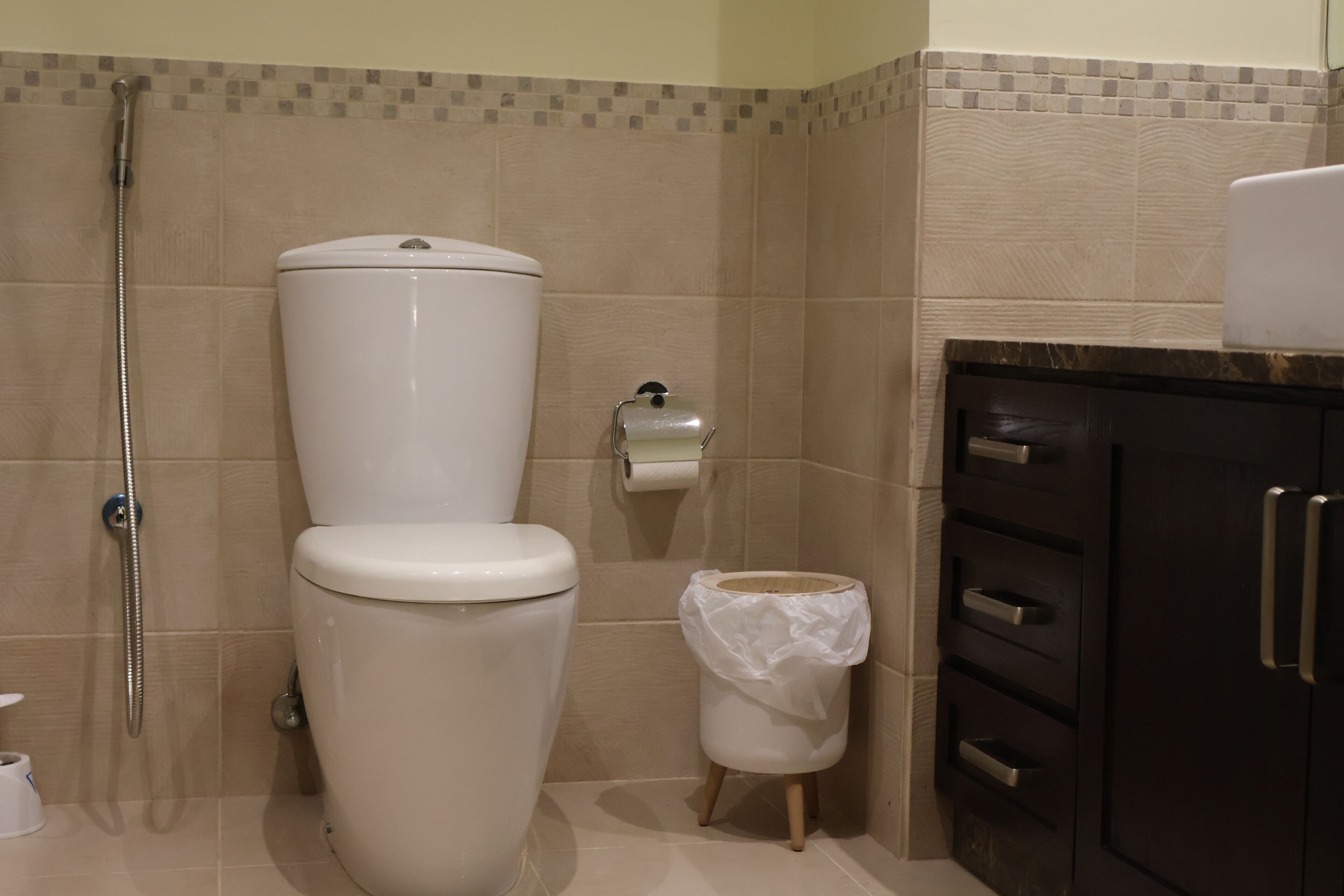 Un baño con inodoro, ducha, cubo de basura y armario.