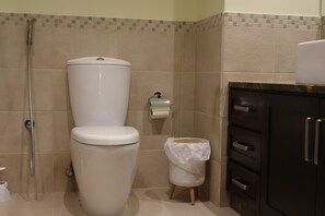 Un baño con inodoro, ducha, cubo de basura y armario.