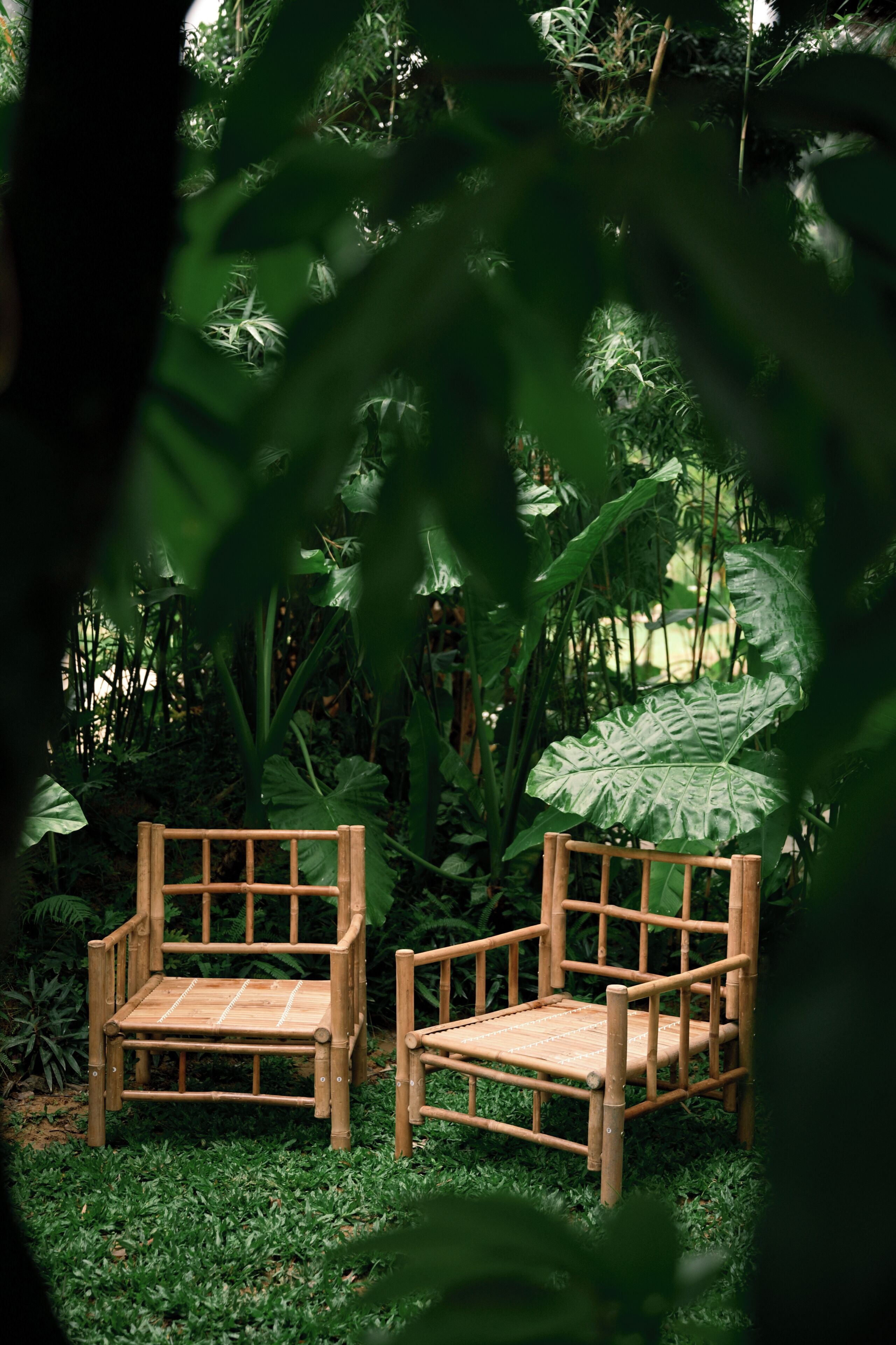Dos sillas de madera en un exuberante jardín.