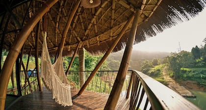 Bamboo Hill
