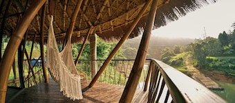 Bamboo Hill