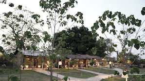 A rustic outdoor area with stone pathways, wooden structures, and trees.