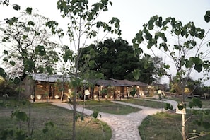 Un espacio al aire libre rústico con senderos de piedra, construcciones de madera y árboles.