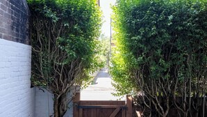 Une ruelle étroite bord ée de haies verdoyantes et d’un mur en briques blanches.