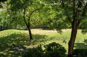 Un parco con una panchina e alberi.
