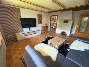 Fernseher