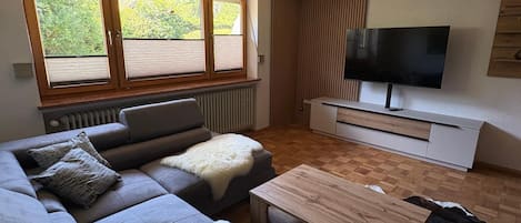 TV