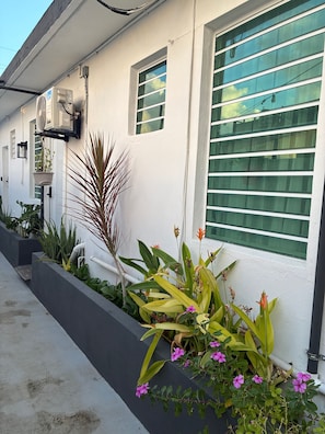 Un edificio blanco con ventanas amplias, una maceta pequeña con plantas y un camino de hormigón.