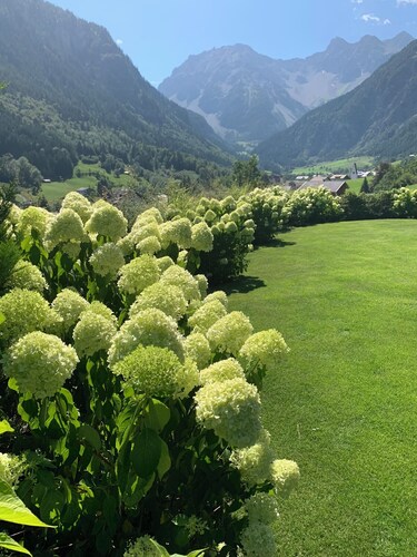Ruhige Lage mit Traumaussicht!!!  App. Üser Schlössle im Brandnertal!
