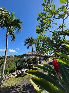 A tropical garden with a gazebo, palm trees, and a red flower. - Apartment "TI BONHEUR" 6 pers - 3 Bedrooms. (Sainte-Anne)