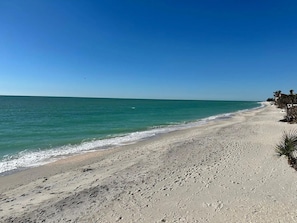 A beach with a clear sky, sandy shore, and a few palm trees. - Casey Key Paradise~Private Beach~Gulf to Bay (Nokomis)