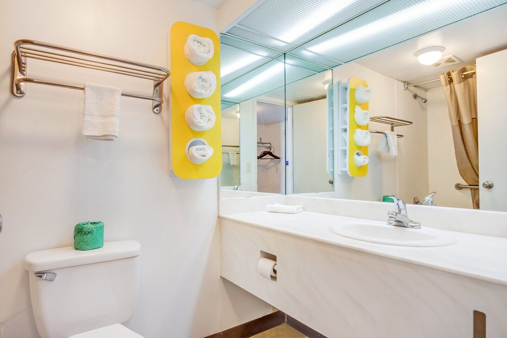 A bathroom with a toilet, sink, mirror, towel rack, and shower curtain.