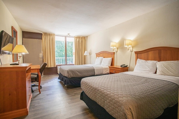 1 dormitorio