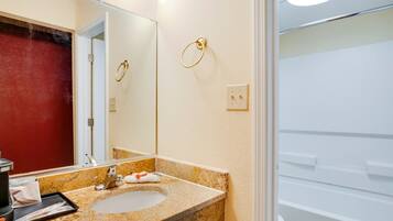 Shower, hair dryer