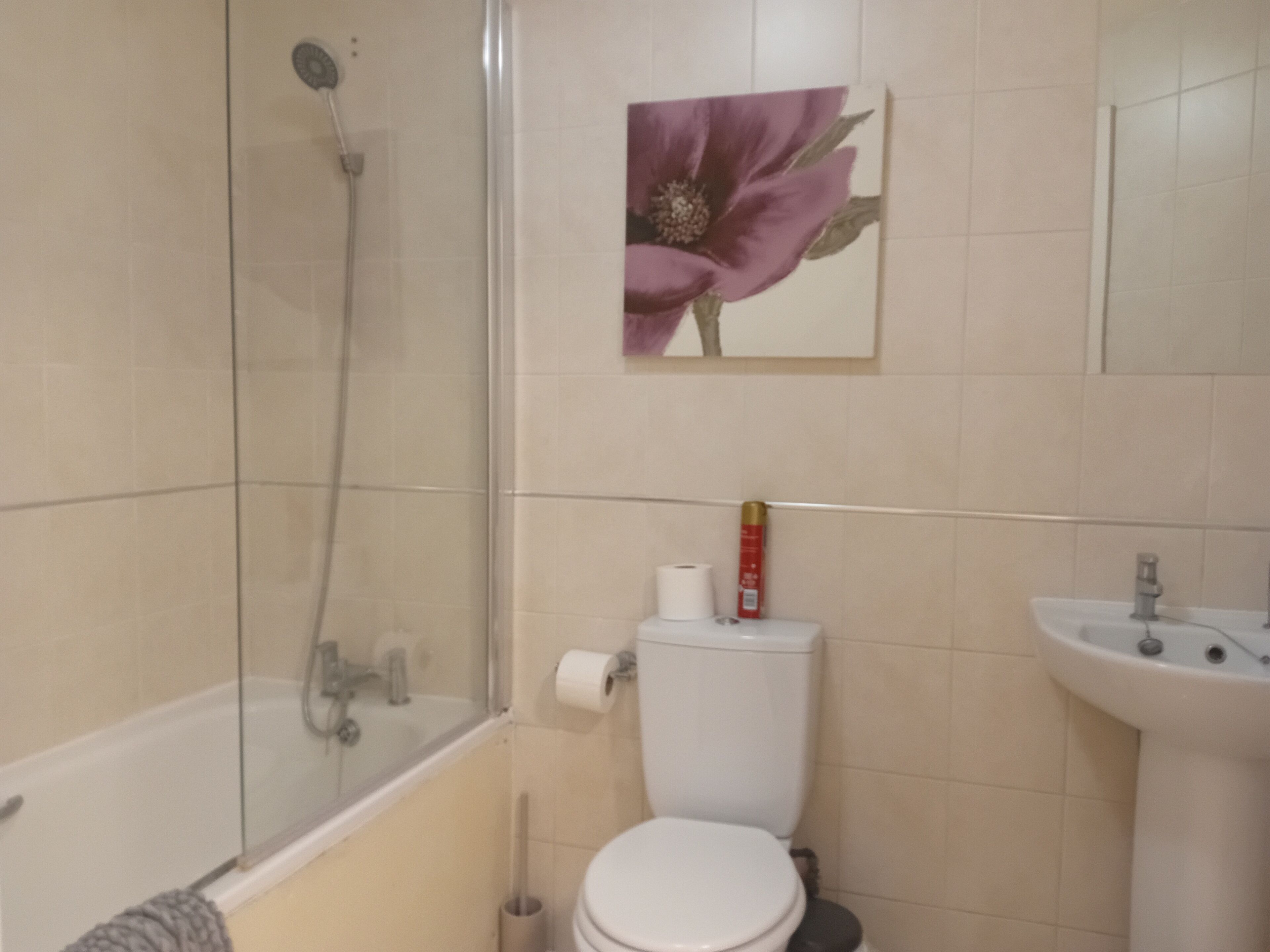 A bathroom with a shower, toilet, sink, and a painting of a flower on the wall.
