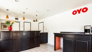 Een moderne keuken met donkere kastjes, een koffieapparaat, hanglampen en een vaas met bloemen.