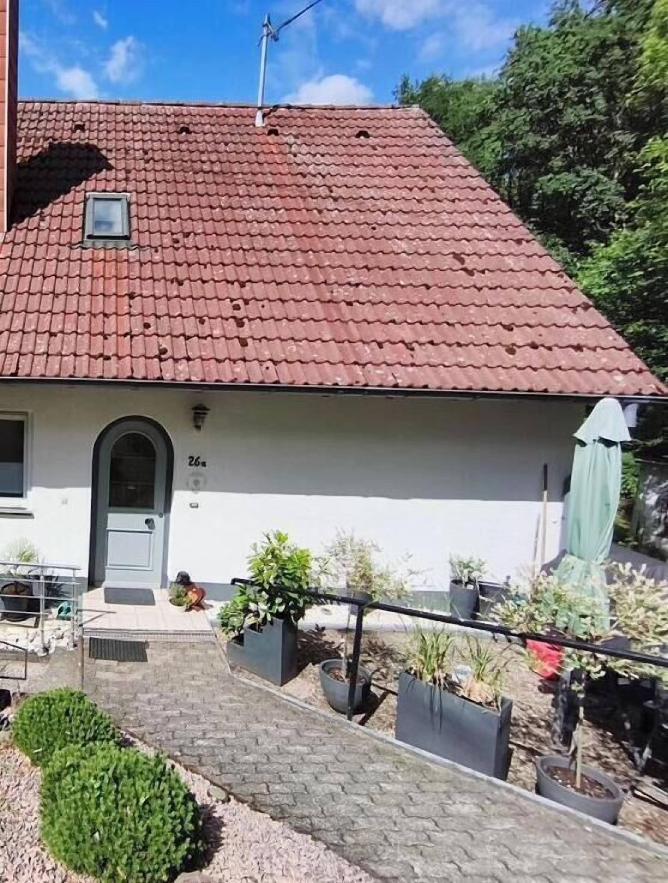 Janas Pfälzerwaldglück