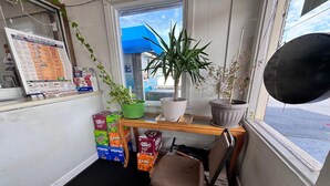 A small room with a window, a desk with a potted plant, a chair, and various boxes of snacks. - 3 Full Beds Non-Smoking (Ashland, VA)