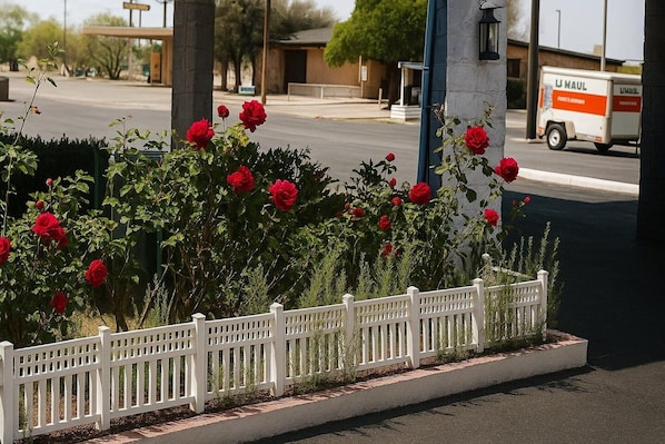 A roadside flower bed with red roses, a white picket fence, and a moving L.L. Bean truck.