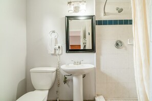 Shower, hair dryer