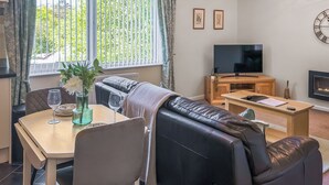 Un salon comprenant un canapé, une table à manger avec des chaises, un téléviseur et une cheminée.