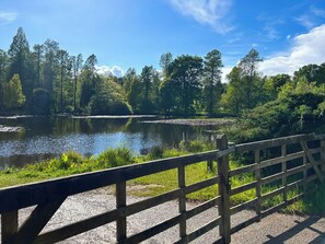 Un pont en bois avec un sentier de gravier menant à un lac paisible, entouré d’arbres.