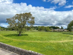 A grassy field with a large tree and stone wall in the foreground, and houses in the background.