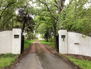 Ein verschlossenes Tor zu einem Anwesen, wobei ein gepflasterter Weg durch ein bewaldetes Gelände führt.
