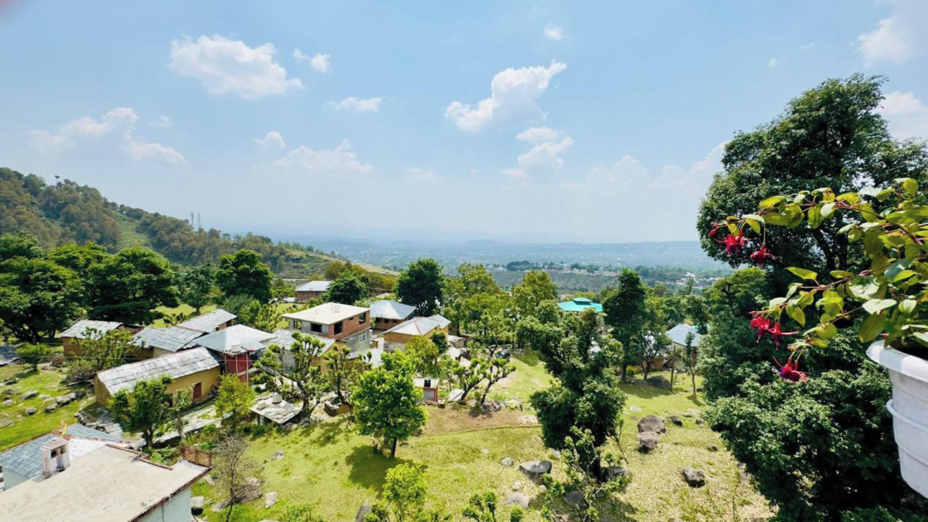 Vistas desde la habitación