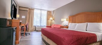 King Bed|Non-Smoking