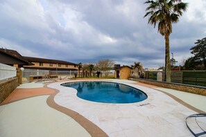 Ein Schwimmbecken mit gewölbter Kante, umgeben von einer gepflasterten Terrasse.