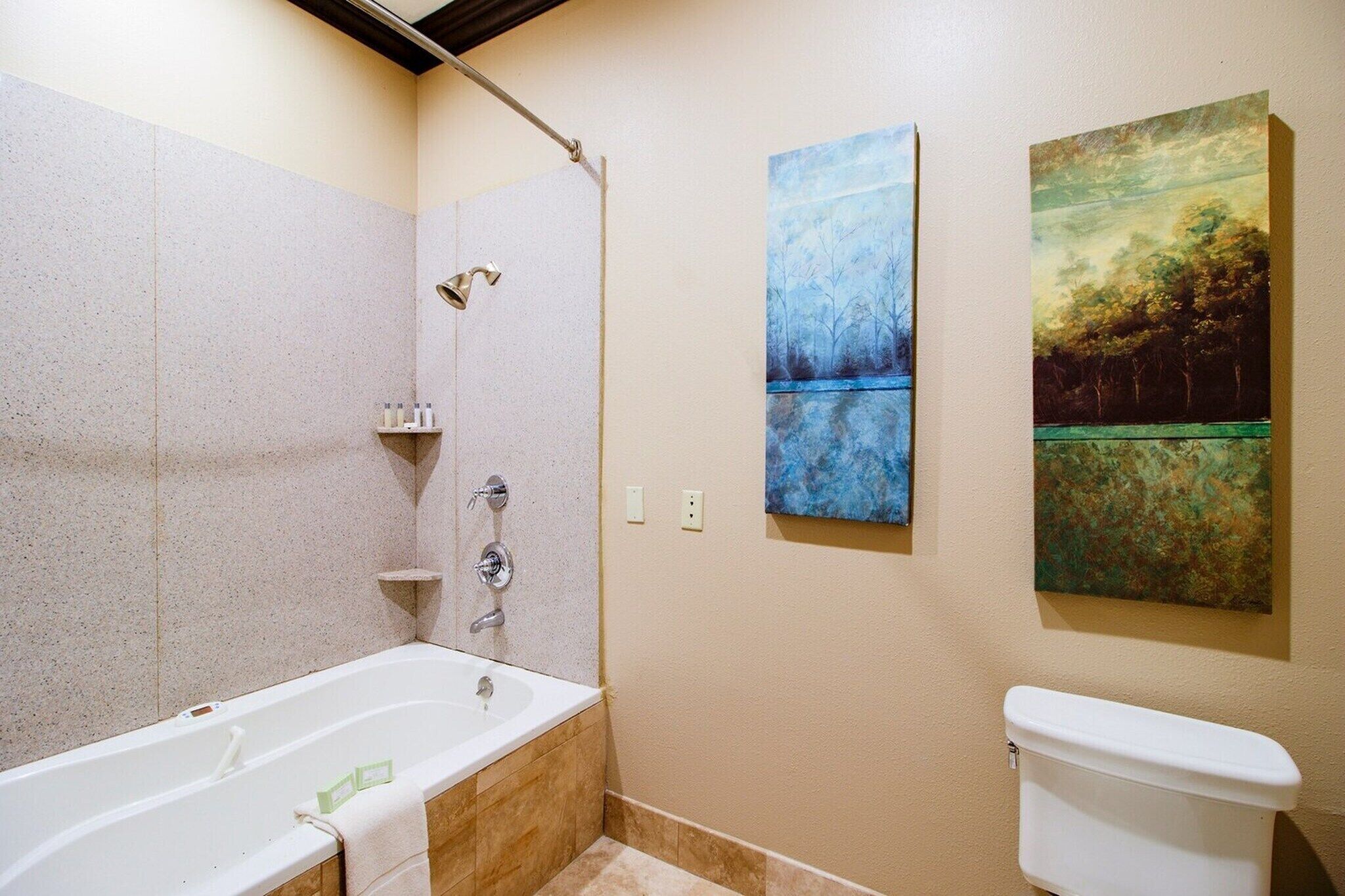 Une salle de bain équipée d’une baignoire, d’une douche, de toilettes et ornée de deux tableaux.