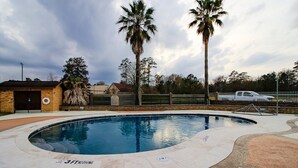 Ein Pool mit gewölbter Kante, umgeben von einer gepflasterten Fläche mit Palmen und einem Zaun.