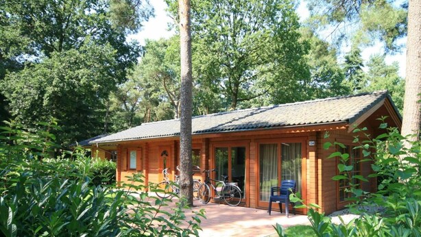 A wooden cabin with a tiled roof, surrounded by lush greenery. - Holiday Home in Susteren With Terrace (Susteren)