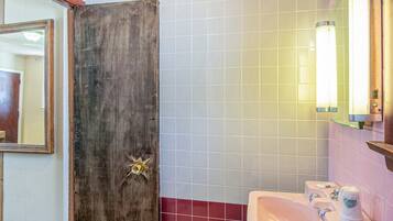 Shower, hair dryer