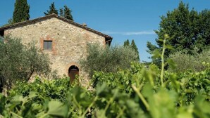 A rustic stone building with a small window and an arched doorway, surrounded by greenery. - Monacianello -Fontebelvedere wine estate (Ponte A Bozzone)