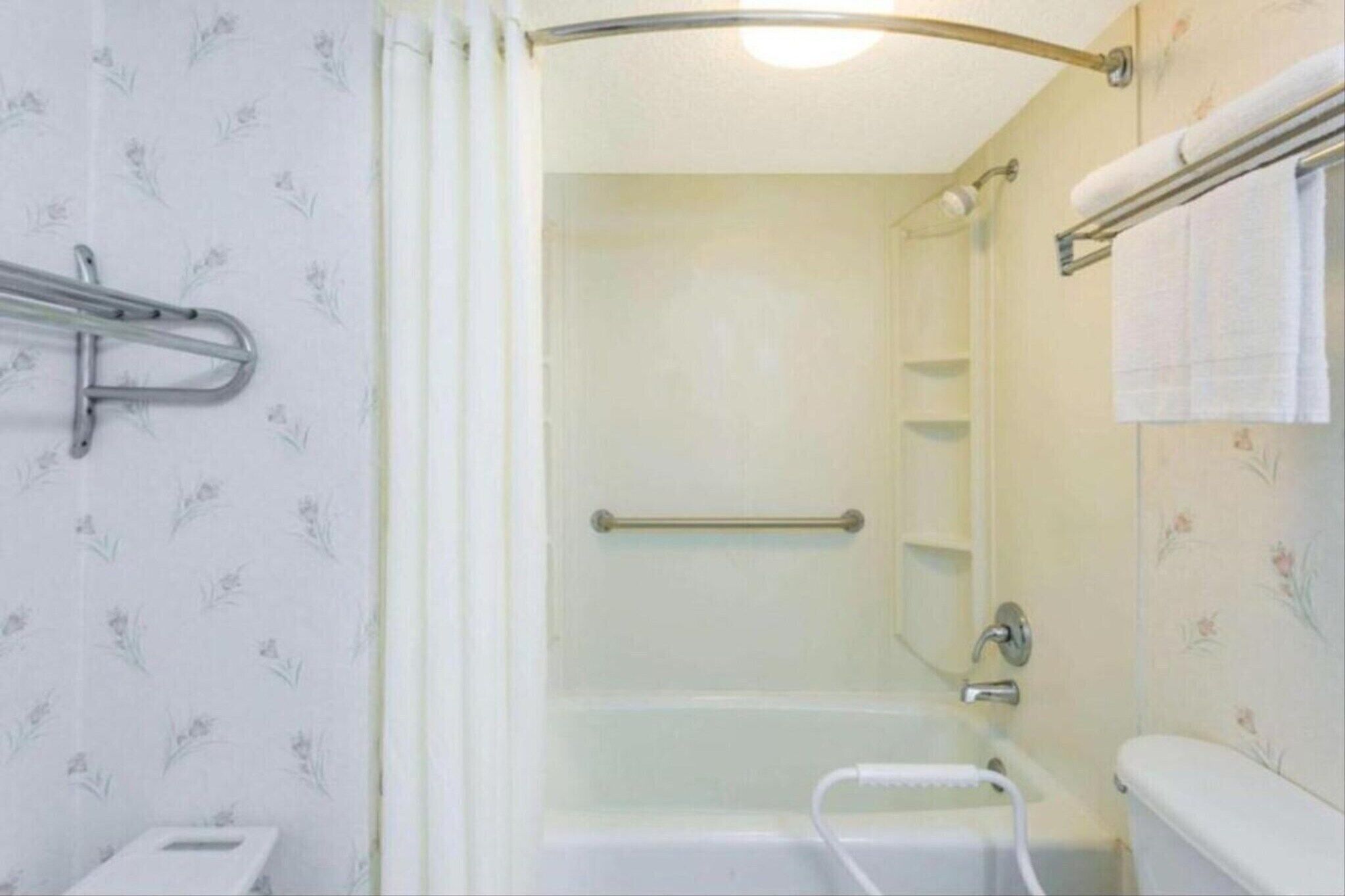 Shower, hair dryer