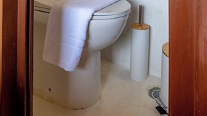 A bathroom with a toilet, a towel, a toilet paper holder, a hairdryer, and a small trash bin.