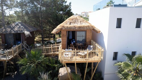 Zen Tree Suite with Jacuzzi | D PALM Premium Living
